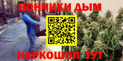 ПСИЛОЦИБИНОВЫЕ ГРИБЫ Краснодар