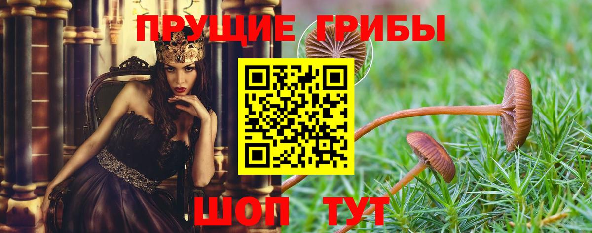 Арсеньев  Галлюциногенные грибы Magic Shrooms  Вход с VPN  Галлюциногенные грибы мухоморы 